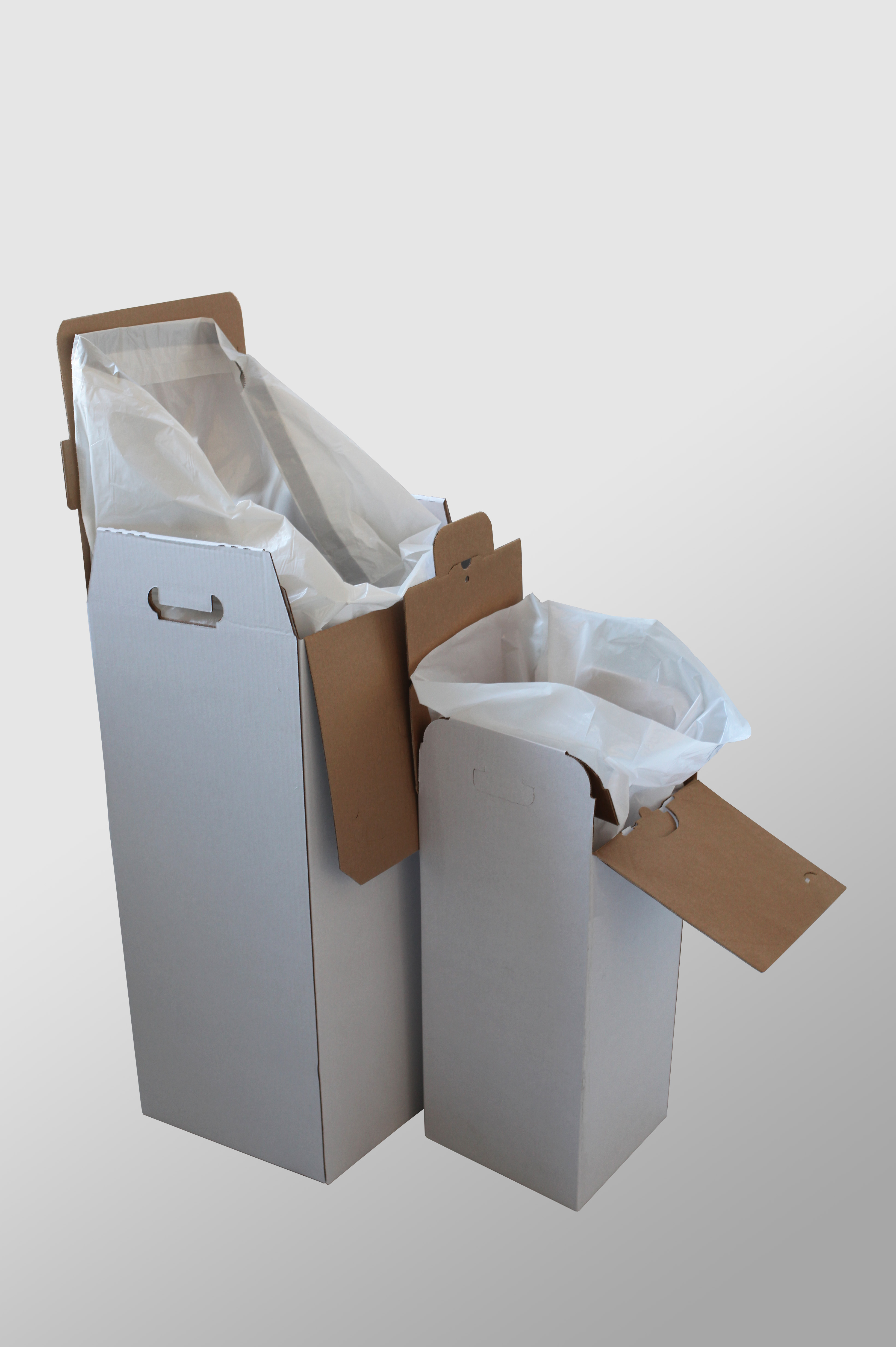 Carton_Sanicontainer_25L_50L