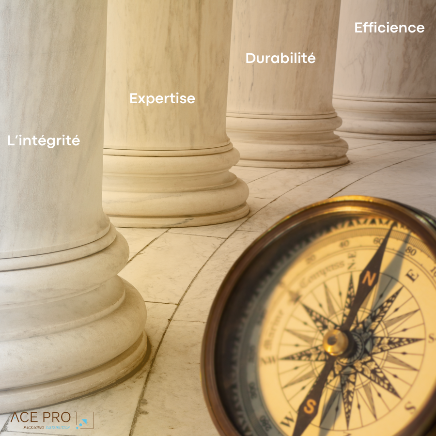 Efficience Pilier de valeur_Intégrité_Expertise_Durabilité
